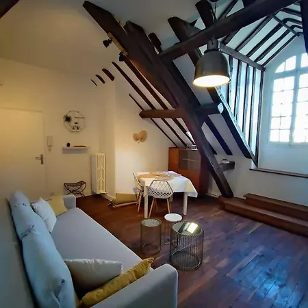 Magnifique Beaux Arts *