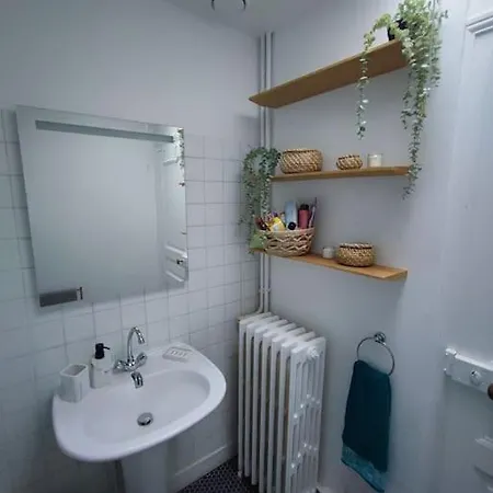 Magnifique Beaux Arts Appartement Tours