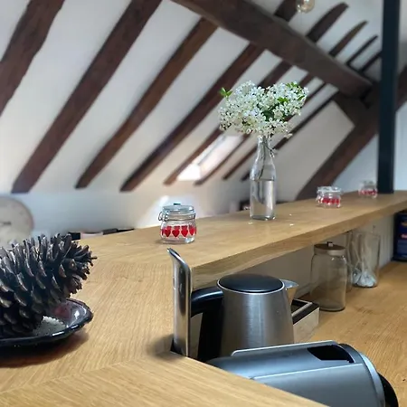 Apartament Magnifique Beaux Arts *