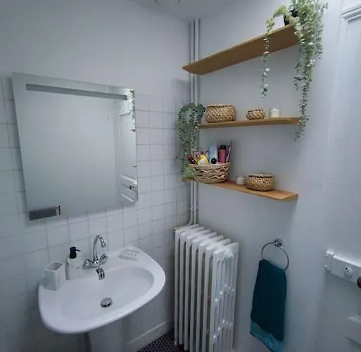 Magnifique Beaux Arts Apartament Tours