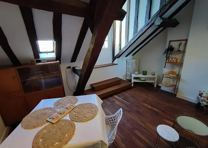 Apartament Magnifique Beaux Arts Tours