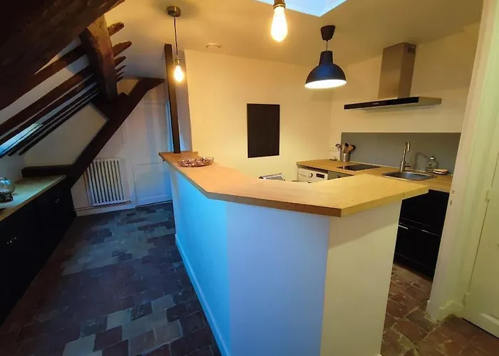 Apartament Magnifique Beaux Arts Tours