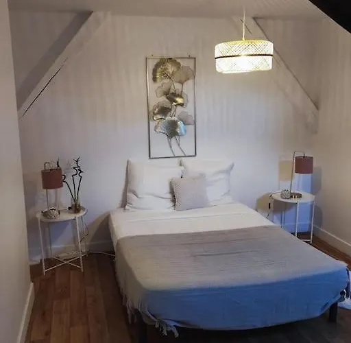 Magnifique Beaux Arts Apartament Tours