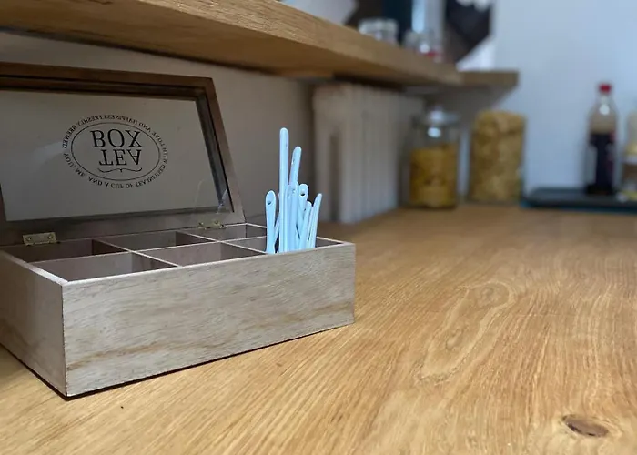 Magnifique Beaux Arts Apartament Tours